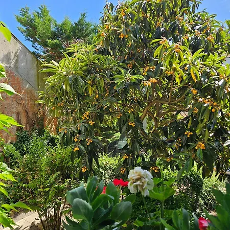 Artistic Flat 3 Pieces Vue Sur Jardin *